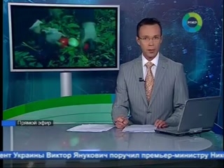 Сотрудничество с государством